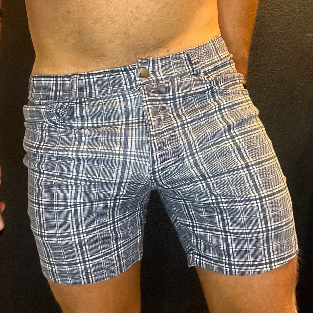 Plaid Blue Men's Shorts size L fits like 32